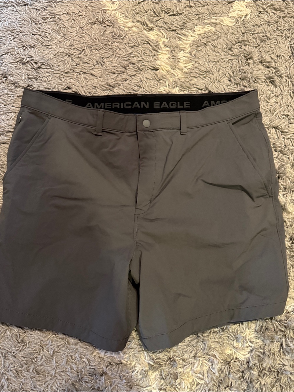 American Eagle Outfitters Men's Gray Performance Shorts